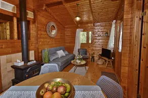 Ella's cabin- beautiful cabin with privte sauna - Image 3