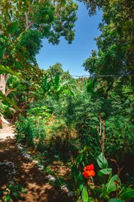 Marcia's house - Image 4