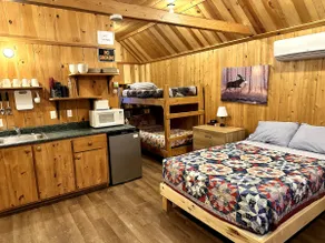 Northern Maine Cabin - Trails - WiFi - AC - Image 3