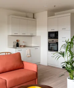 1-bedroom penthouse with terrace – Líbere Vitoria - Image 3