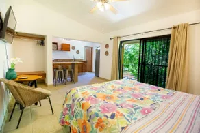Tamarindo Suite: nice and complete apartment - Image 4