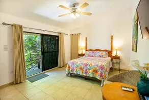 Tamarindo Suite: nice and complete apartment - Image 2