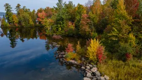 Peaceful Cottage Getaway/ Lakefront + Fireplace - Image 3