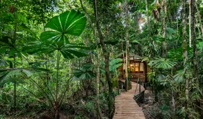 Rainforest Hideaway at Daintree Wilderness Lodge - Image 2