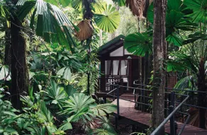 Rainforest Hideaway at Daintree Wilderness Lodge - Image 3