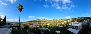 forest view - Image 2
