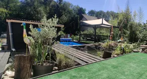 The Summer Studio ☀️ - Image 4