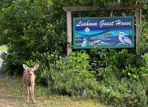 Liahona Guest House - Image 2