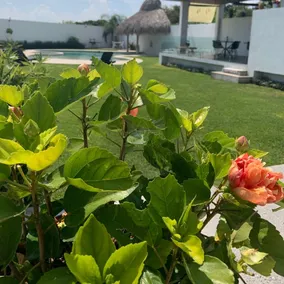 ”Casa Maná” Enjoy the beach in the city. - Image 4