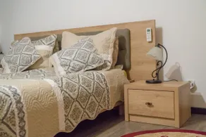 Entire apartment, downtown Iași, Palas - Image 3