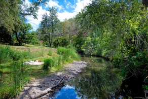 Lost World River Retreat - Image 4