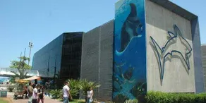 Building in front of the beach. - Image 3
