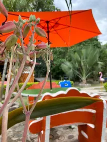 Casa de Campo Rivera, Riverita trail, 30 people - Image 4