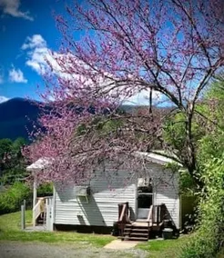 Miraflor Guest House, family and pet friendly - Image 2