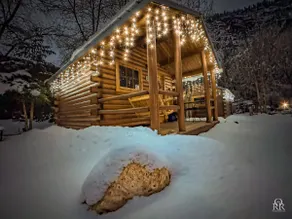 Rustic Cabin 9 - Pet Friendly - Hot Tub Access - Image 3