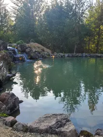 A Cozy Oasis Among the Redwoods - Image 2