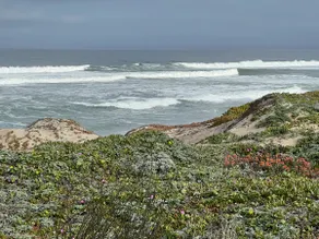 Monterey Bay Oasis on the Ocean! - Image 2