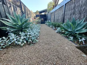 Cape Colonnades Alleyway - Image 4