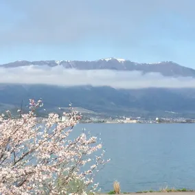 Entire studio room for rent on the shore of Lake Biwa [Biwako] - Image 4