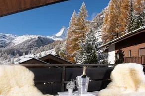 Chalet and Penthouse Zen, two Properties, 100m from Ski Lift and Piste - Image 3