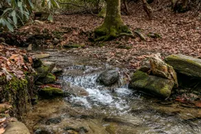 Magical Mountain Cottage with Backyard Stream - Image 3