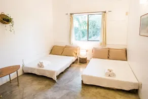 Kahilom Nest: Monkeys, Birds, View, Pet Friendly! - Image 5
