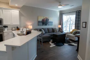 Legacy Park Townhome #6 *On Campus!* - Image 4