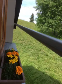 Apartman Odolov Jestřebí hory - Image 3