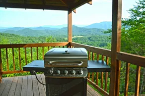 “Soaring Eagle” Log Cabin * Awesome View - Image 5