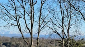 2 BR Apartment in Bearden w/ Mountain Views - Image 4