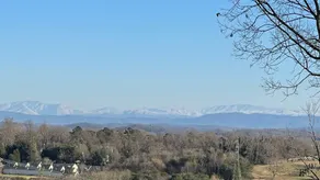 2 BR Apartment in Bearden w/ Mountain Views - Image 5