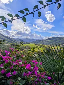 Casa Perla of Valnerina, the green heart of Umbria - Image 2