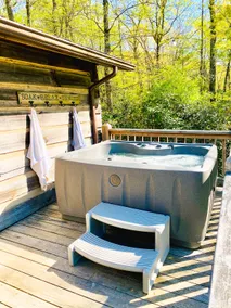 Tucked Inn: Dog Friendly Secluded Mountain Cabin - Image 2