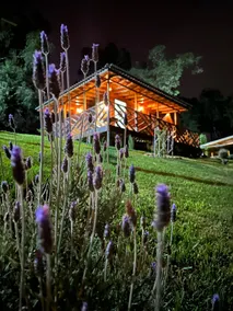 The entire cabin is a beautiful garden - Image 3