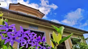 Tamanini Family House - Image 5
