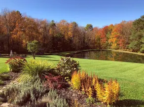 10 Acres of Privacy at The Gingerbread Hideaway! - Image 2