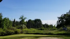 Outdoor escape, old house in the great north woods - Image 3