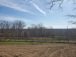 Equestrian Escape - Image 4