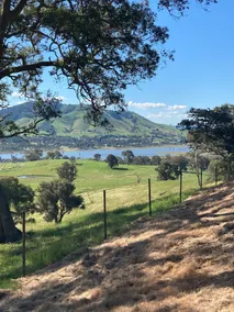 Banksia Cottage Spactacular views & amazing sunset - Image 3