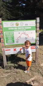 Özer Sultan's Haven: Bolu's Forest Paradise - Image 3