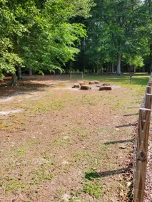 Surry Homeplace - Image 3