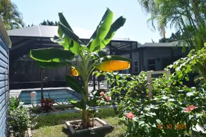 Pool home near Manasota Key and S Venice Beaches - Image 3