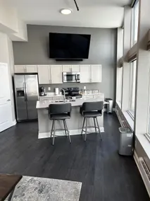 Downtown Luxury Penthouse Suite with rooftop deck! - Image 3