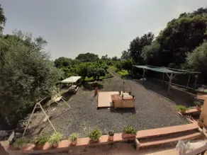 Lemon's House by the sea - Image 3