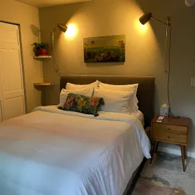 The Rest Easy, Plush Guest Suite with Spa and Fire - Image 3