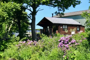 Idyllic Rural Log Cabin Escape with Hot Tub - Image 3