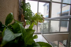 La MAISON D'ANTONIN - Image 5