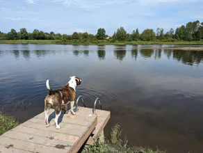 4 saison cabin on the border of the river - Image 4
