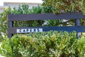 Capers - Image 5