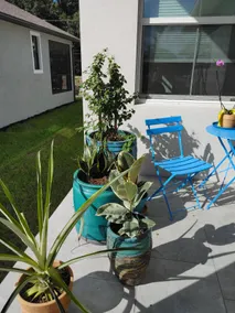 New, Upscale Home with Pool , Close to Downtown - Image 2